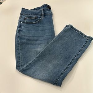 Judy Blue Skinny Fit Capri 18W